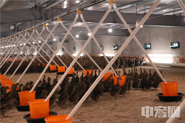 1604194914164790.png 圖片7.png